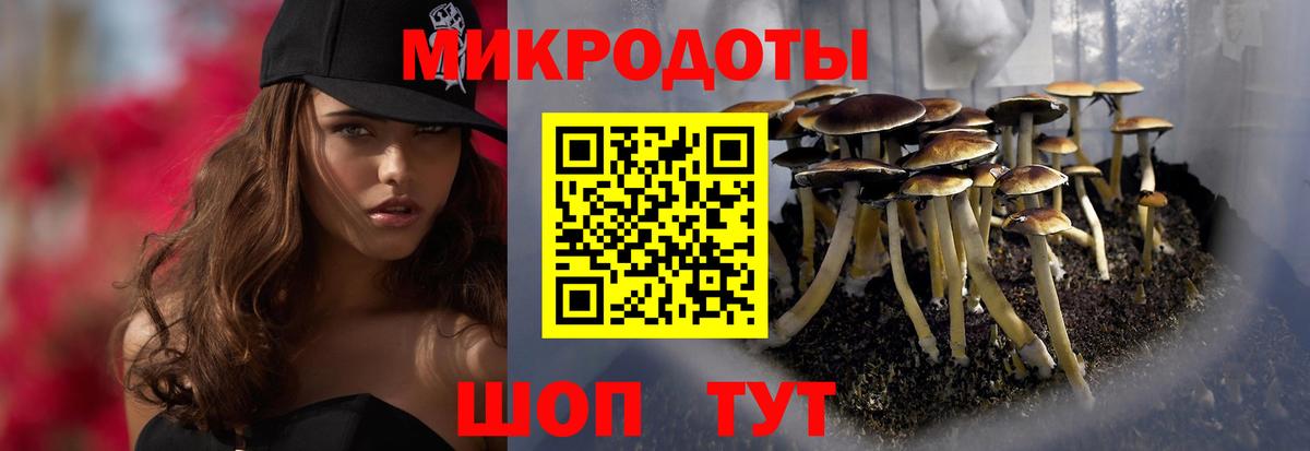 Галлюциногенные грибы GOLDEN TEACHER  Вход с VPN  Рыбинск  Галлюциногенные грибы MAGIC MUSHROOMS 